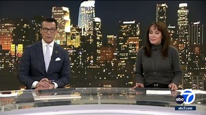 Mountain lion caught on video attacking pet dog in backyard of California home