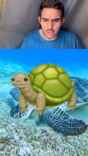 THIS IS WHAT A TURTLE LOOKS LIKE WITHOUT ITS SHELL!!! 😳😱