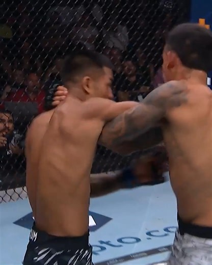 3M views · 82K reactions | An absolute brawl between these two!  #UFC317 #UFCIndia #UFC | UFC | Facebook