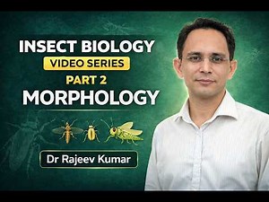 General Morphology of Insects | Insect Biology Lecture 2 | B.Sc | Kashiv Education Service