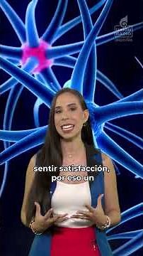 ¿Qué le sucede a tu cerebro cuando ves un partido de fútbol?