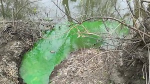 307K views · 2.4K reactions | Liviu: "Astăzi pe 28.03.19 ora13:00...