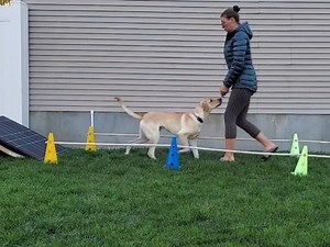 Backing Up: Beginner