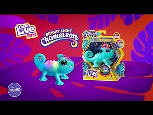 Little Live Pets. Sunny, tu Camaleón Luminoso. Anuncio TV