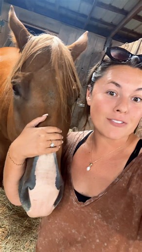 🧡Vol Vet Review🧡: What does the “back room” look like?🐴 UTCVM-University of Tennessee College of Veterinary Medicine | Katie Van Slyke