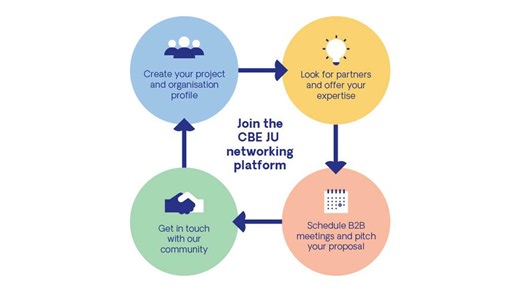 When ideas and partners match for success