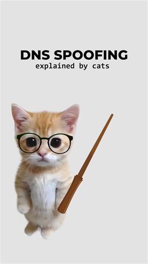 coding.kitty on Instagram: "DNS Spoofing, explained by cats. #cat #code #security #dns #spoofing"