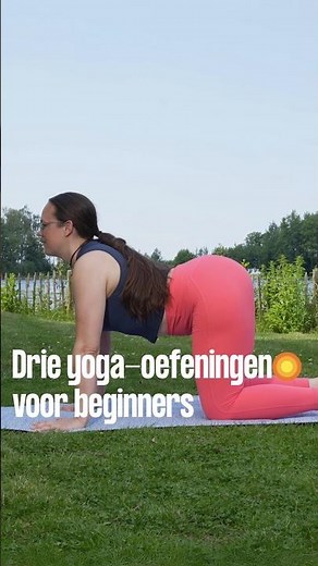 Yoga voor beginners | Zentijd | KRO-NCRV