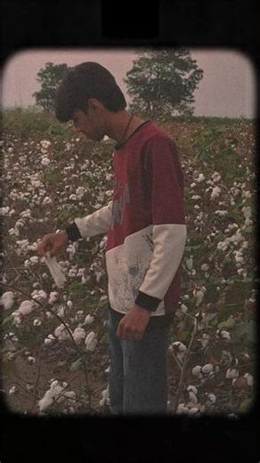 Discover the Farming Mindset: Cultivating Success and Joy