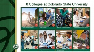 University Structure and Your Major (Frame 9)