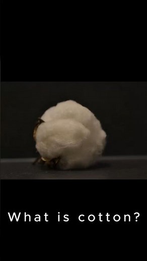 Inside Cotton - Cellulose Structure Explained 🌿