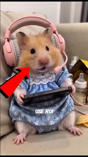 Hamster's Secret Life Exposed 🐹😳 🔥 #pets