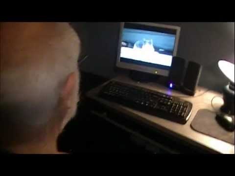 Angry Grandpa watches - I'm a Stupid Cat!