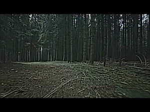 Halloween Instrumental Music - A Sad and Creepy Soundtrack