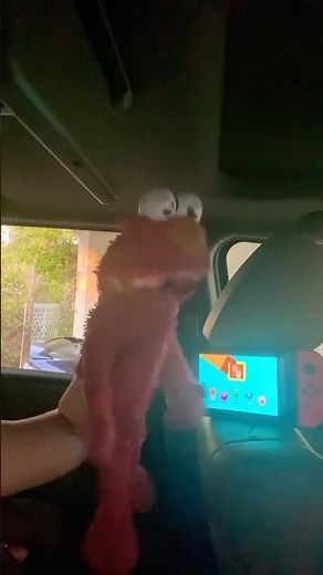 elmo world elmo wants to learn all about turtles