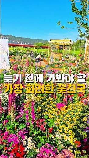 늦기 전에 가봐야 할 가장 화려한 꽃천국 /5월 국내여행지 추천 /5월에 가볼만한곳 /봄여행지 /봄꽃축제 /봄꽃명소 /화순여행 /전남 여행지 추천
