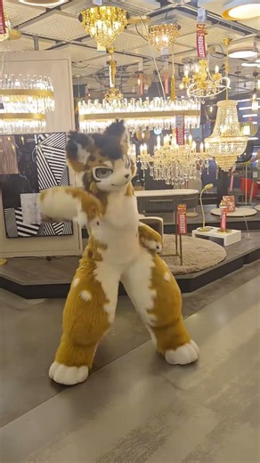 【Fursuit Dance】Luxxy - NSYNC 'I Want You Back'