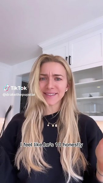 Drake the Pupstar on TikTok