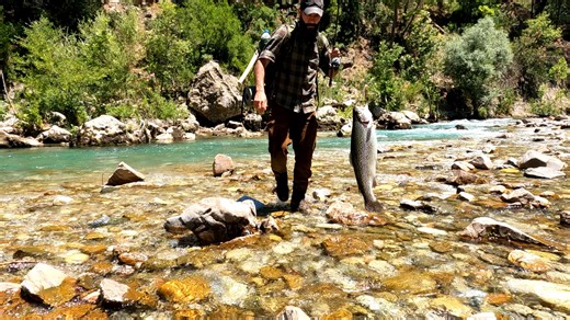 143K views · 2.3K reactions | Mountain Stream Trout Fishing (Brown, Brook, Rainbow) | Wargeh Bushcraft | Facebook