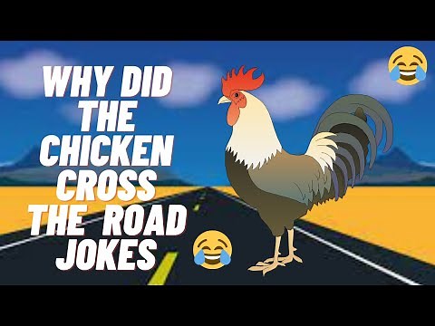 120 Eggcellent Chicken Jokes That Will Make You Crack Up