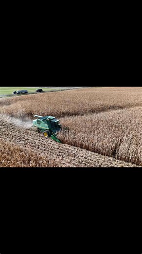 6.2K views · 92 reactions | Our favorite time of year! Harvest time! #corn #farm #JohnDeere #fblifestyle | Den Hoed Dairy | Facebook