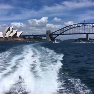'Seas' the day! 🛥️ Hop on a ferry from Circular Quay to cruise around Sydney Harbour before exploring one of the many surrounding areas of the city from Manly to Watsons Bay. #ilovesydney 📹 Instagram – @wildernessexpedition | Sydney.com