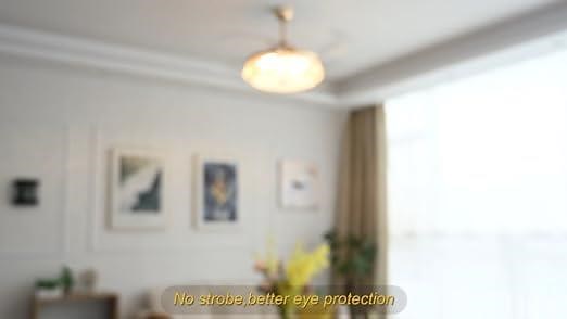 show ceiling fan video