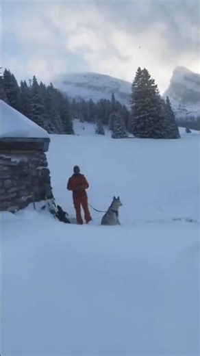 Walking Through Winter Silence