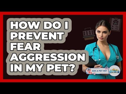 How Do I Prevent Fear Aggression In My Pet? - Ask A Pet Vet