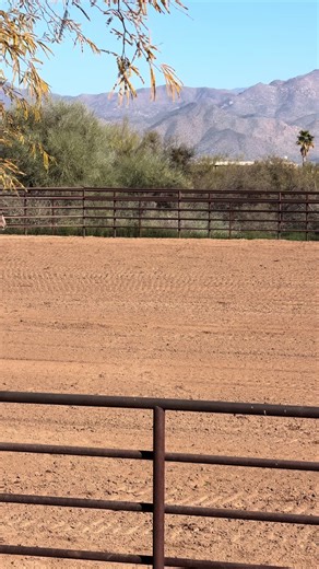 Barefoot, bareback and not a care in the world. #cowgirl | cowgirl