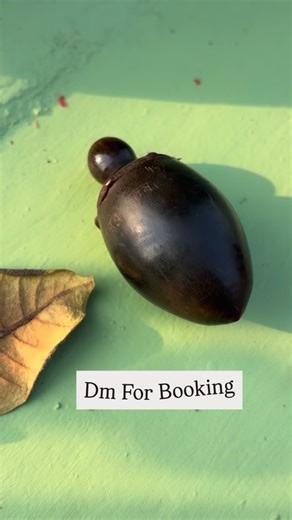 𝐏𝐚𝐧𝐝𝐚 𝐀𝐧𝐭𝐢𝐪𝐮𝐞𝐬 on Instagram: "*Rare Find** Antique Rare Snuff Bottle (Horn made) Antique Horn Snuff Bottle – Handcrafted, Patinated A rare antique snuff bottle crafted from natural horn, showcasing the understated elegance of traditional utility objects. Smoothly hand-shaped with an organic, teardrop form, this piece carries a deep, naturally aged patina developed over decades of use and handling. The bottle features a fitted stopper with an integrated scoop, a classic design elemen