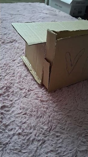 cardboard VR goggles (It works)