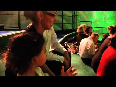 Upsy Daisy - In the Night Garden - Live