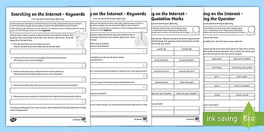 Searching the Internet