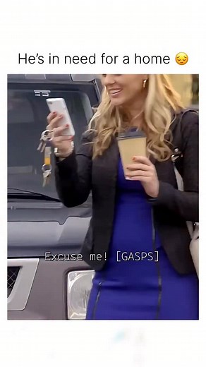 The Entertainers Community on Instagram: "Drop Dead Diva (2009–2014) is a fantasy-comedy-drama series about Deb Dobkins, a beautiful but shallow model who dies in a sudden car accident. At heaven’s gate, a mix-up occurs, and her spirit is sent back to Earth—but not in her own body. She awakens inside Jane Bingum, a brilliant, plus-sized lawyer with a big heart and an even bigger brain. Confused yet determined, Deb must learn to navigate Jane’s professional world of courtrooms and justice while r