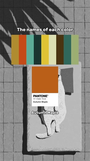 What Colors Make Up This Chill Summer Vibe? The Ultimate "Retro Summer" Aesthetic Palette!