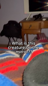 Ghost caught in mirror reflection is shocking facebook groups #scary | Wout Company