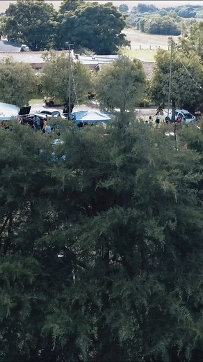 3.3K views · 13 reactions | O Portal Em PG é Assim colou na Fazenda...