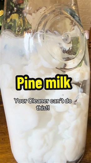 Discover the Benefits of Pure Pine Oil Cleaner