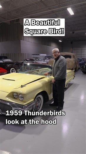 62K views · 2.1K reactions | 1959 Ford Thunderbird Convertible #ford #classicford #oldford #1959ford #59ford #195fordthunderbird #59fordthunderbird #1959thunderbird #59thunderbird #thunderbird #tbird #59tbird #classic #classiccar #classiccars #carsofinstagram #vintage #vintagecar #vintagecars #caronastick #collectiblecars #americanclassic #americancar | Ellingson Motorcars | Facebook