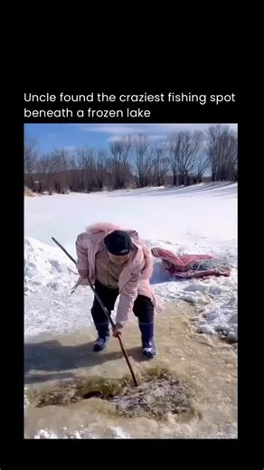 technology.ieo on Instagram: "At first, it looks like an ordinary frozen lake — until the ice is opened and something unexpected appears below. What this uncle finds beneath the surface turns a quiet fishing trip into a jaw-dropping discovery, revealing a spot so packed with fish it almost doesn’t look real. Under thick ice, fish often gather in deeper pockets where water stays slightly warmer and oxygen levels are more stable. When you drill into just the right place, it can feel like you’ve un