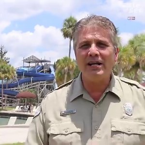 119K views · 315 reactions |  WEEKI WACHEE SPRINGS  This magical...