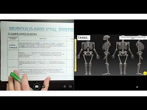 Skeletal system lesson walkthrough