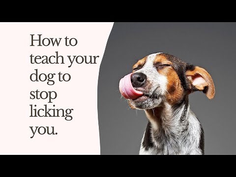 How to teach your dog to stop licking you.