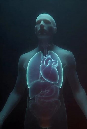 How Blood Moves Through the Heart Ultra Realistic Human Circulatory System Animation Heart Function