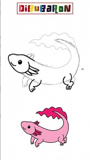 drawing an axolotl