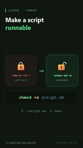 Make a Script Executable in Linux with chmod +x