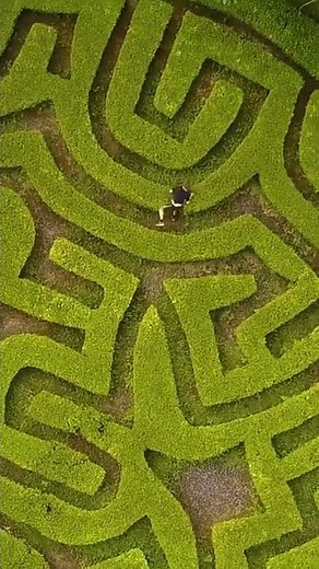 They said I was too dumb to solve this maze 🤡