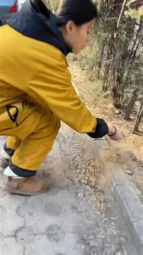 Check whether your car has been installed with a locator! #cardrivingl | Tonggeqichezhishi