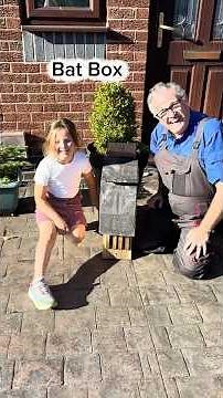 Bat Box to stop mosquitoes and midges in your garden #gardening #garden #bats #wildlife #gardens